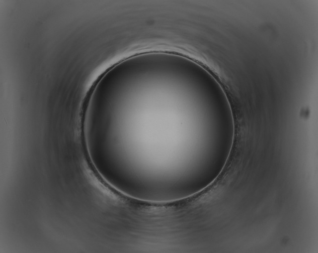 X0000091671518200708231317