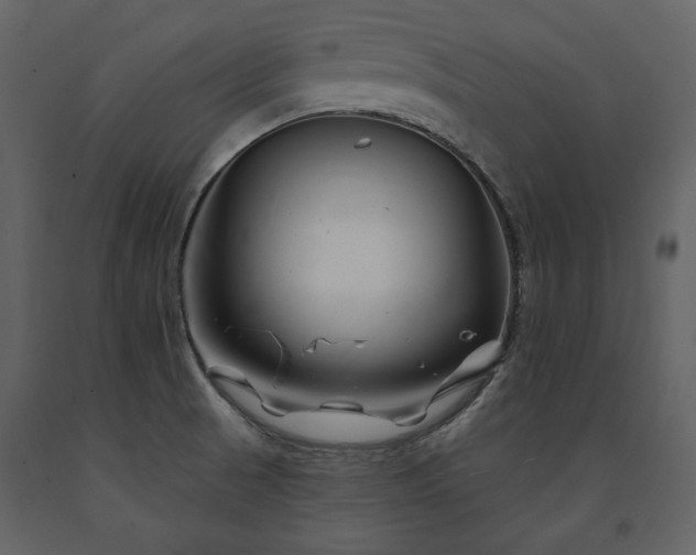 X0000091671521200708231317