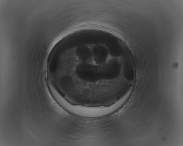 X0000091671522200708231317