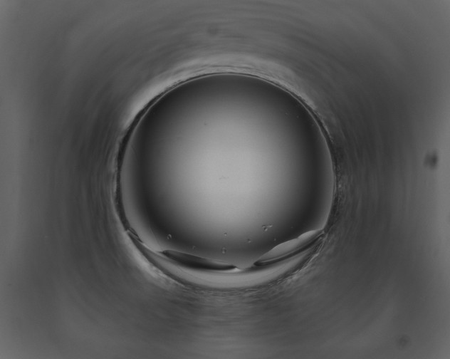 X0000091671523200708231317