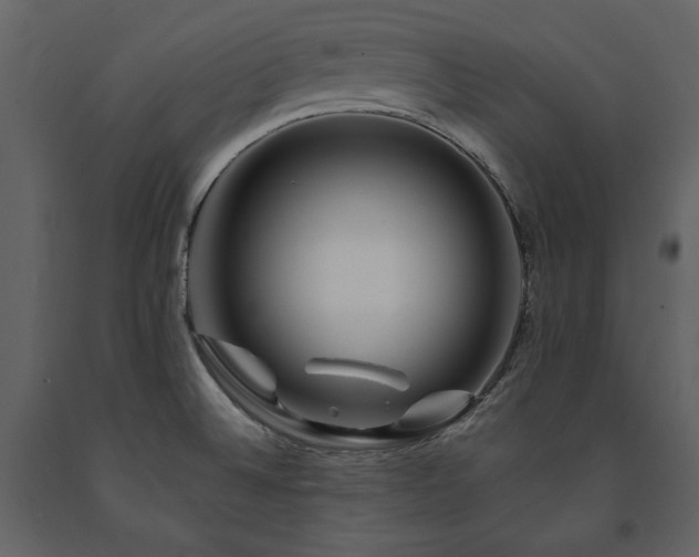 X0000091671524200708231317