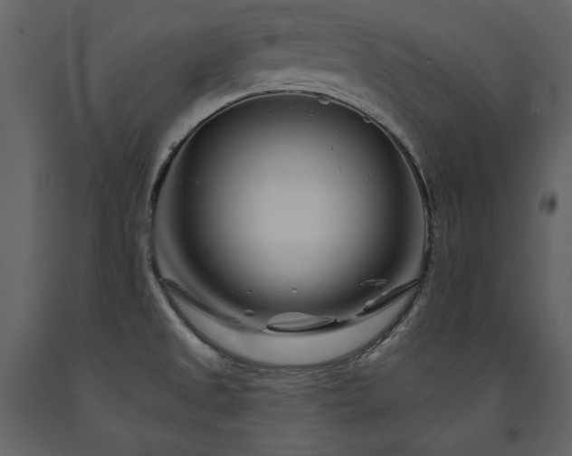 X0000091671525200708231317