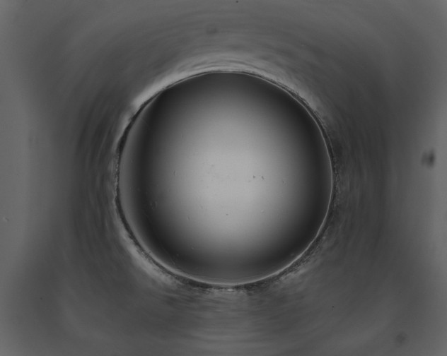 X0000091671526200708231317