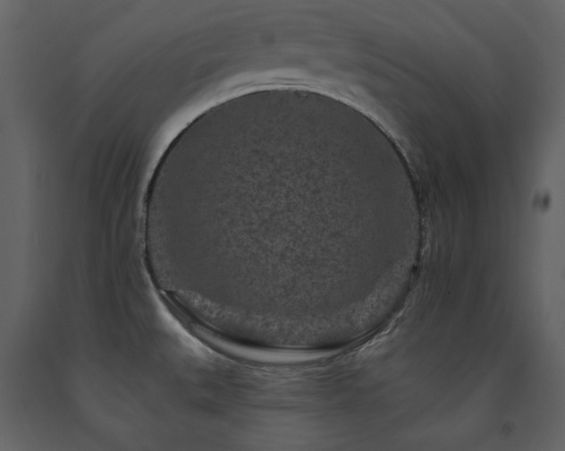 X0000091671527200708231317