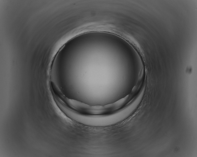 X0000091671528200708231317