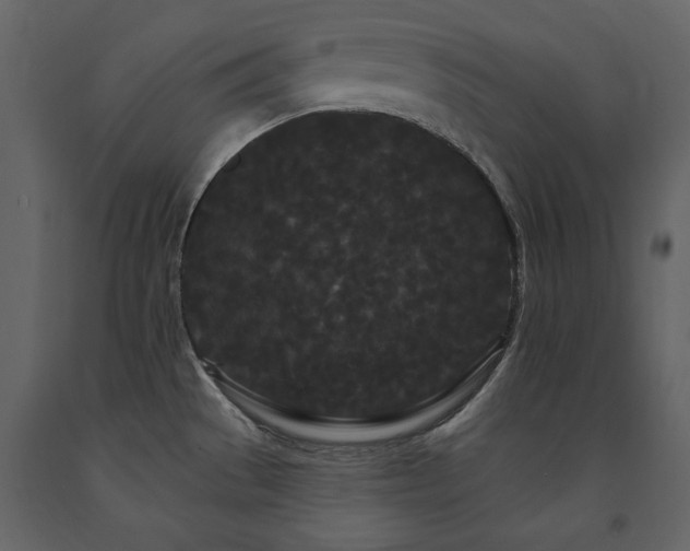 X0000091671529200708231317