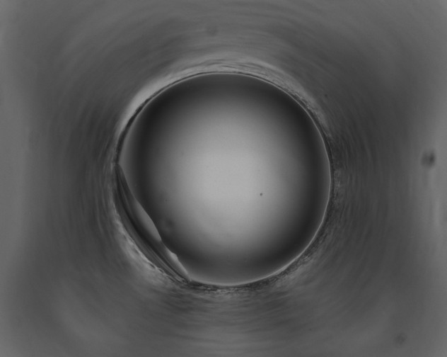 X0000091671530200708231317