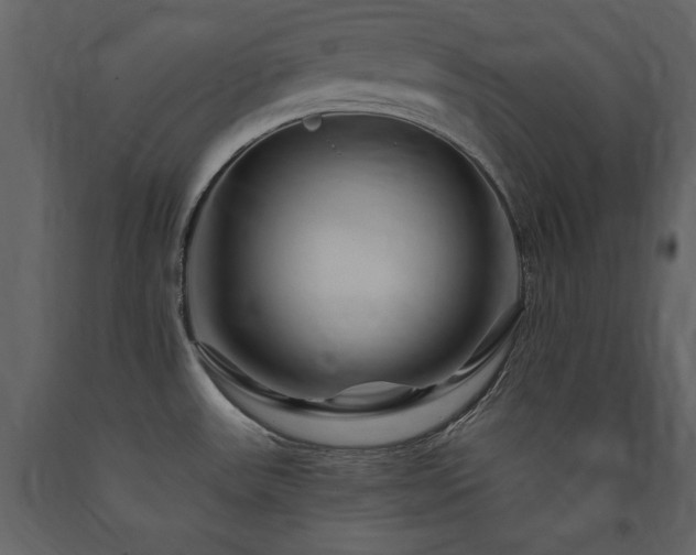 X0000091671531200708231317