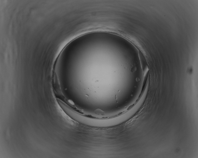 X0000091671532200708231317