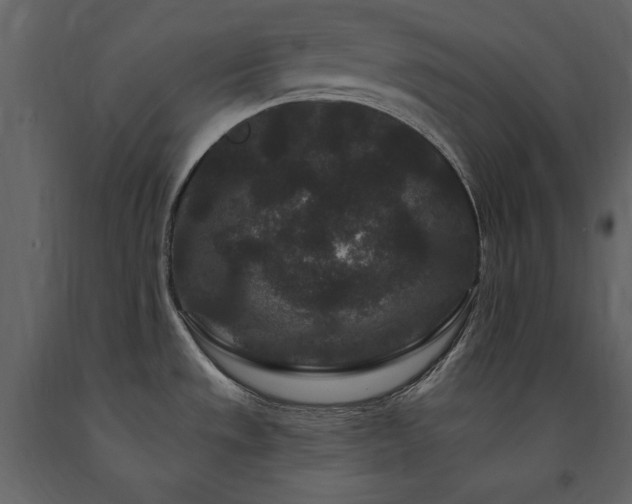 X0000091671533200708231317