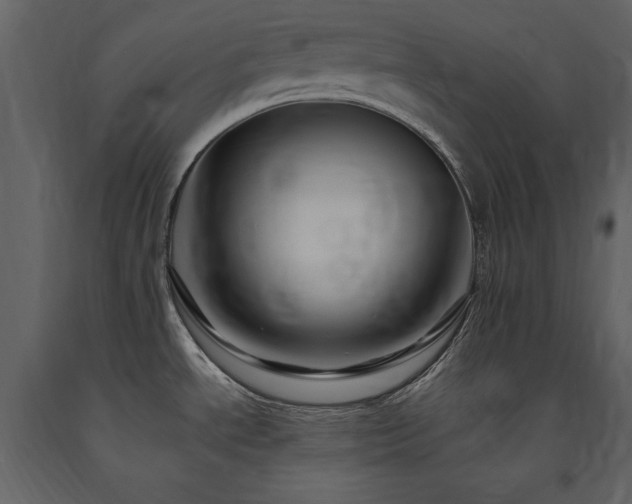 X0000091671534200708231317