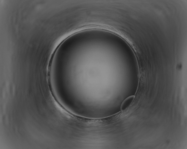 X0000091671535200708231317