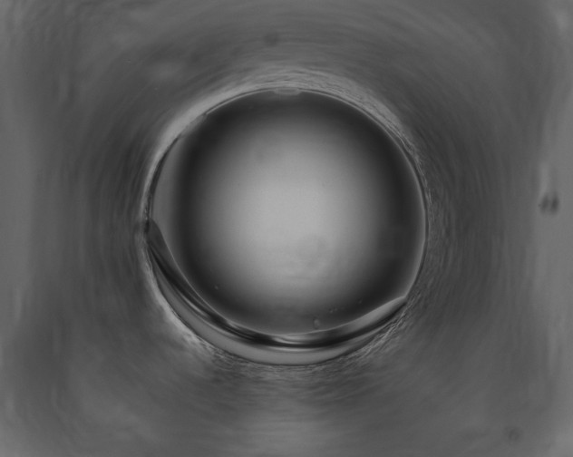 X0000091671536200708231317