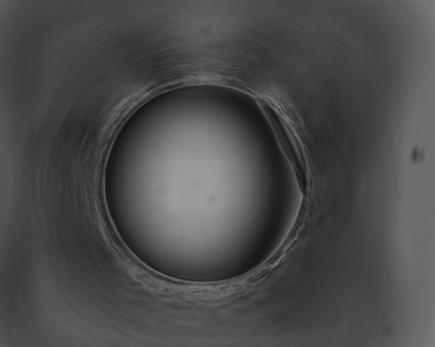 X0000091670001200708301509