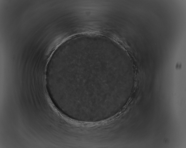 X0000091670002200708301509