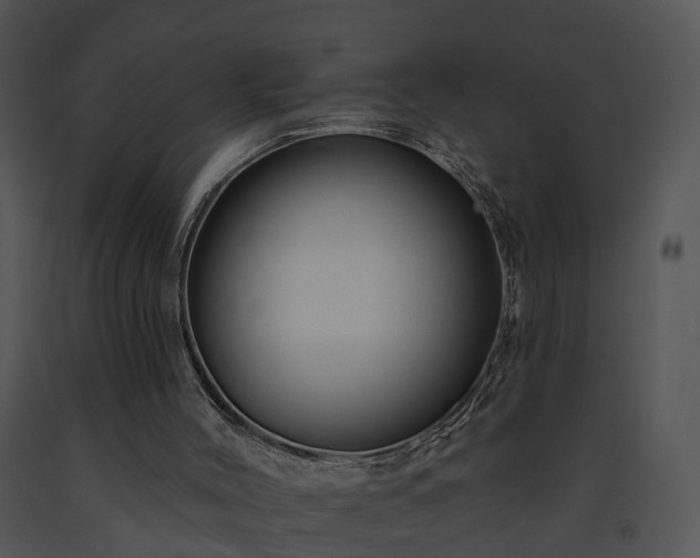 X0000091670004200708301509