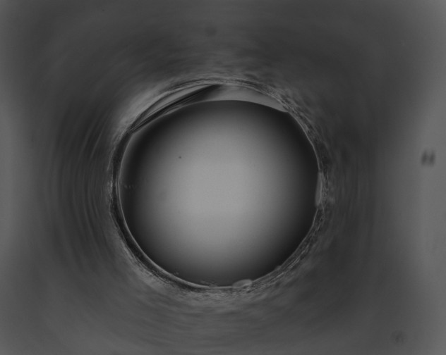 X0000091670005200708301509