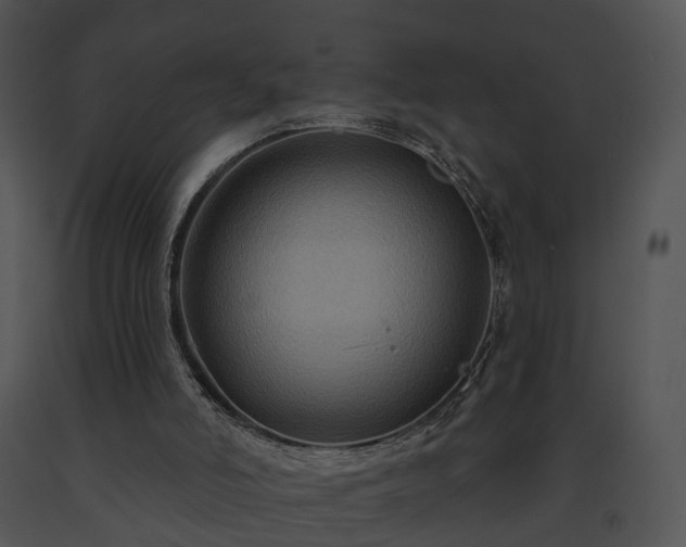X0000091670006200708301509