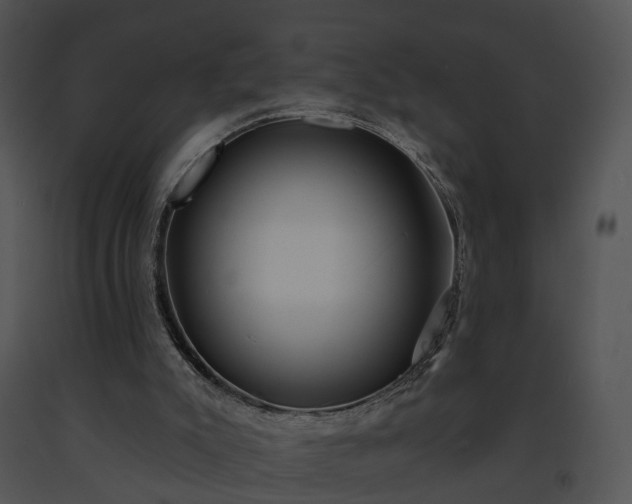 X0000091670007200708301509