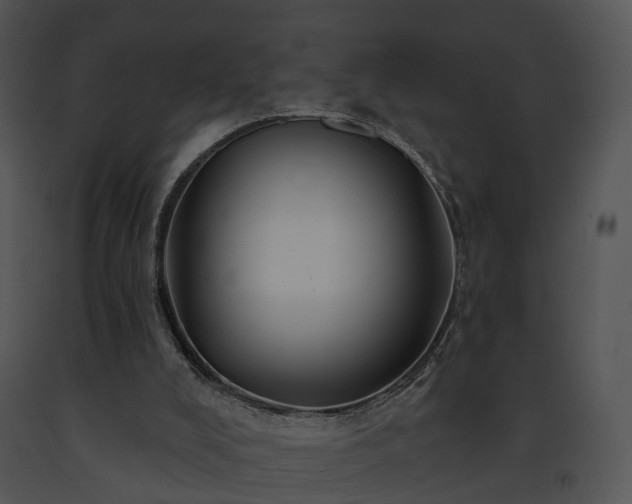 X0000091670008200708301509