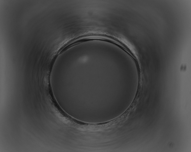 X0000091670009200708301509