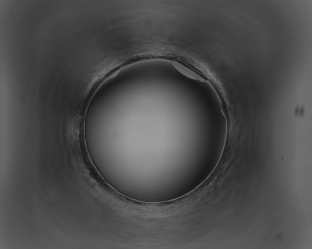 X0000091670010200708301509