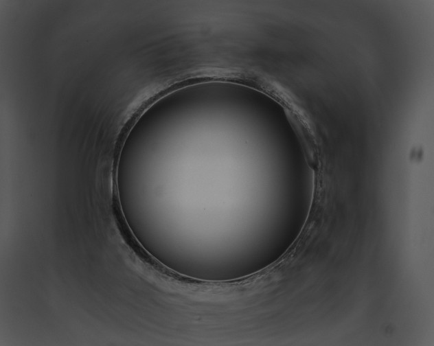 X0000091670011200708301509