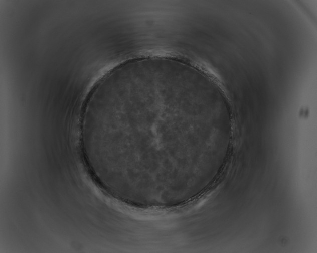 X0000091670012200708301509