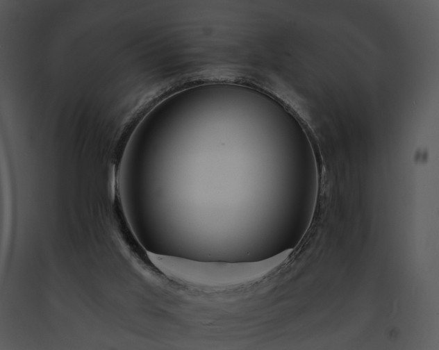 X0000091670013200708301509