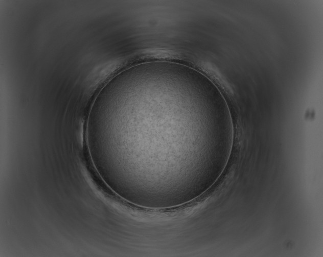 X0000091670014200708301509