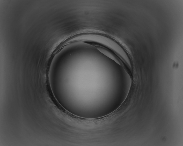 X0000091670015200708301509