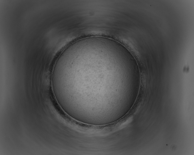 X0000091670016200708301509