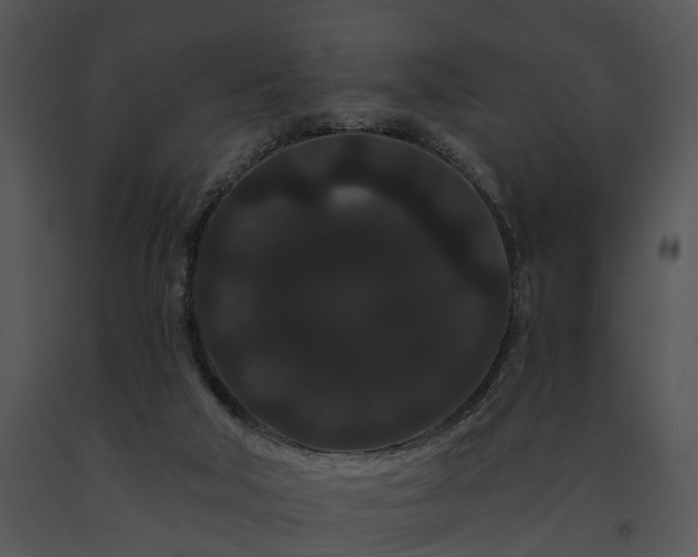 X0000091670018200708301509