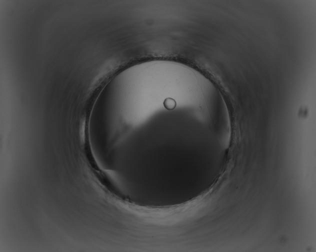 X0000091670019200708301509