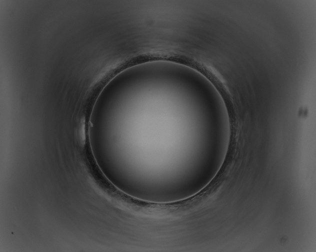 X0000091670020200708301509