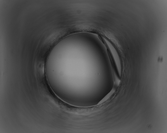 X0000091670021200708301509