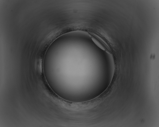 X0000091670022200708301509