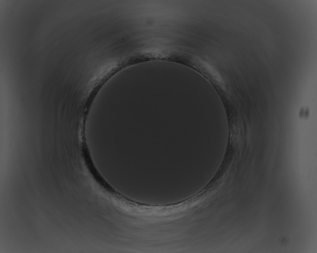 X0000091670023200708301508