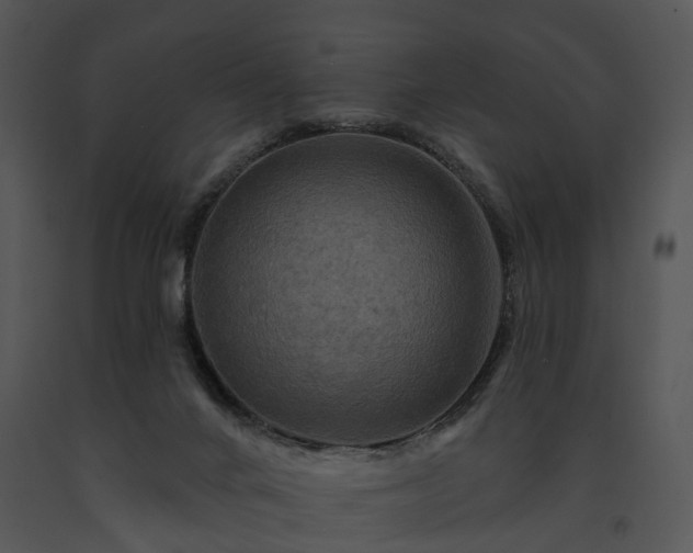 X0000091670024200708301508