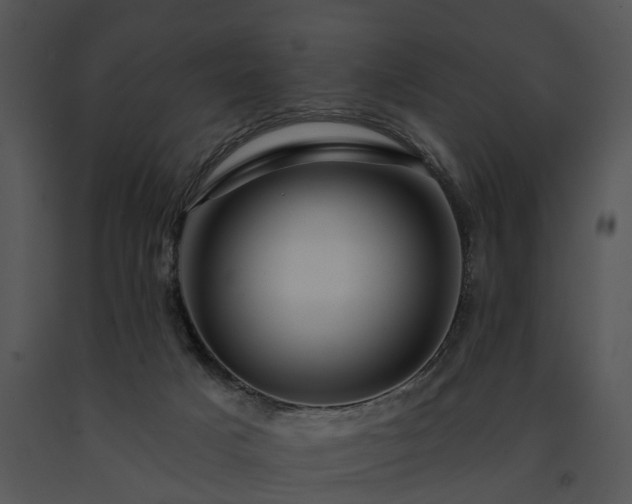X0000091670025200708301508