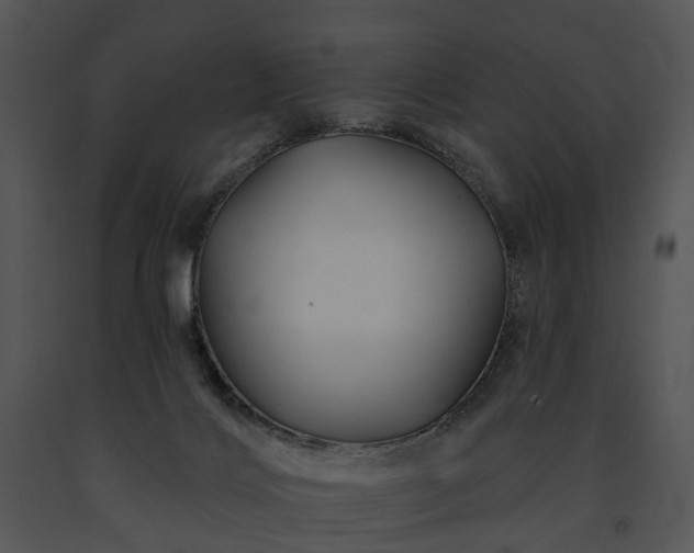 X0000091670028200708301508