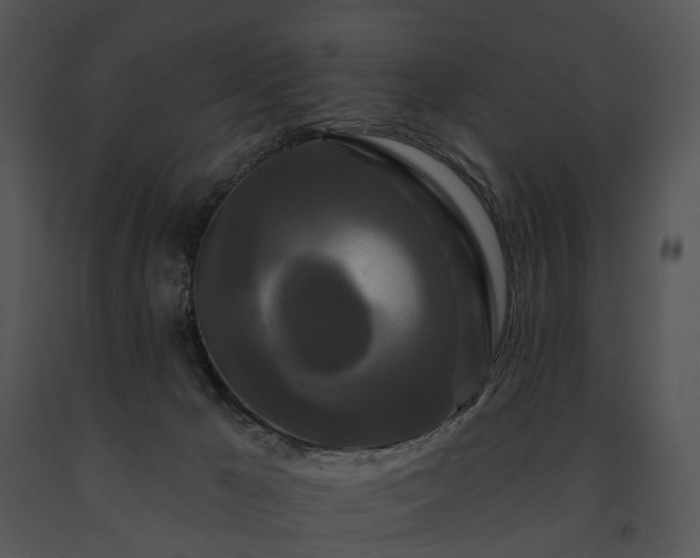 X0000091670029200708301508