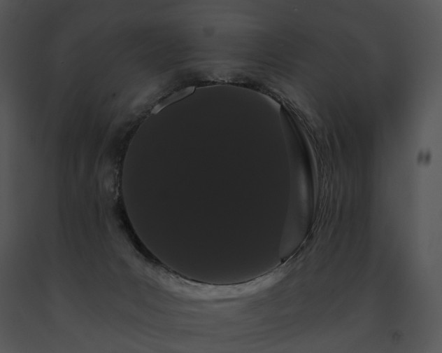 X0000091670031200708301508
