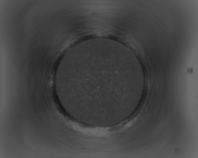 X0000091670032200708301508