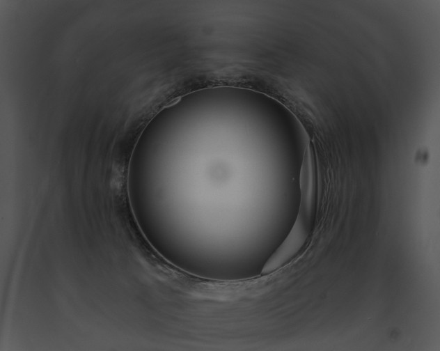 X0000091670033200708301508