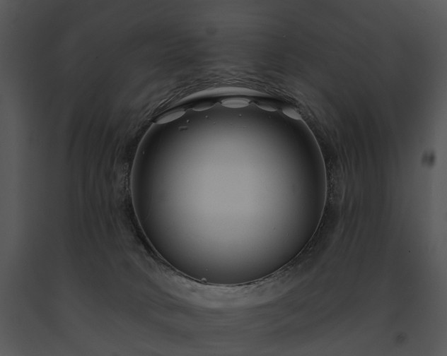 X0000091670034200708301508
