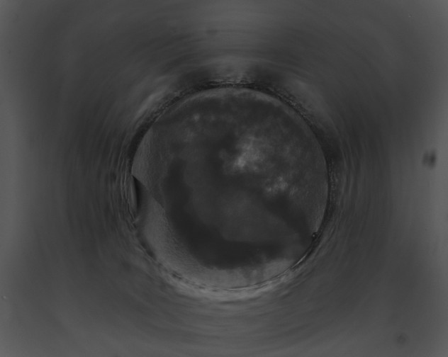 X0000091670035200708301508