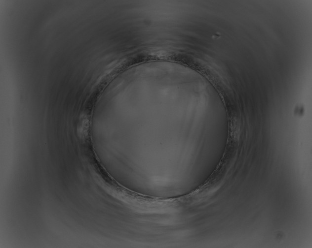 X0000091670036200708301508