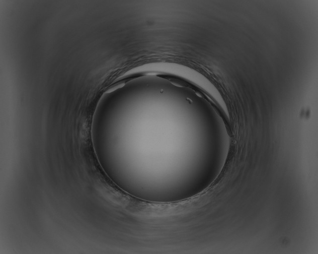 X0000091670037200708301508