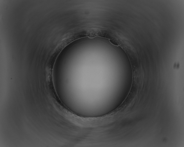 X0000091670038200708301508